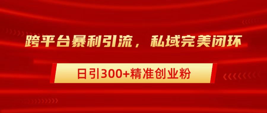跨平台暴力引流，私域完美闭环，日引300+精准创业粉-村长副业网