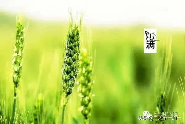 现代农民增加收入的出路——仍然是搞副业插图 现代农民增加收入的出路——仍然是搞副业插图