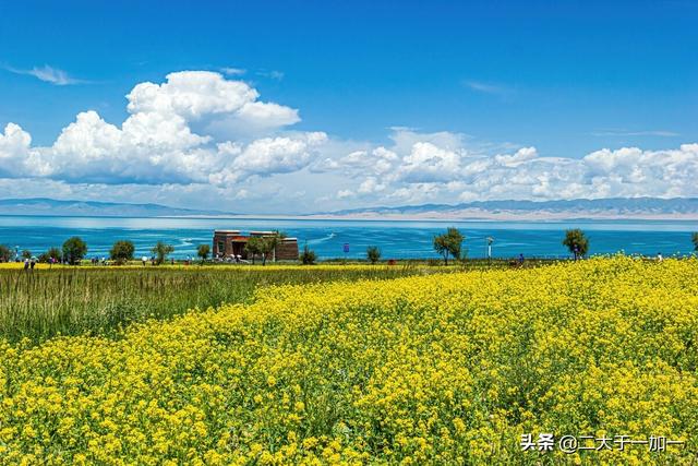 现代农民增加收入的出路——仍然是搞副业插图4 现代农民增加收入的出路——仍然是搞副业插图4