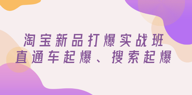 【副业项目3372期】淘宝新品打爆实战班（淘宝店铺如何增加流量和访客）-村长副业网