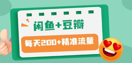 【副业项目3442期】闲鱼和豆瓣精准引流全系列课程，每天引流200+精准粉（闲鱼引流推广怎么做）-村长副业网