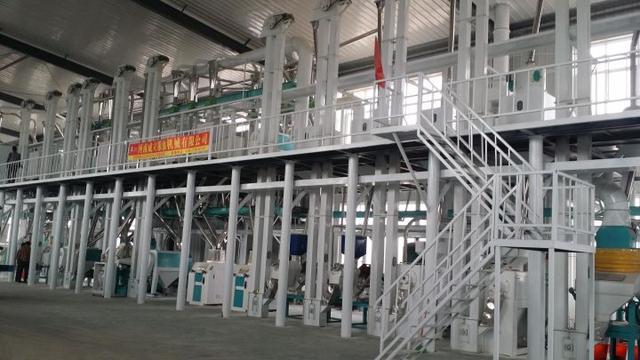 五十吨玉米深加工项目赚钱吗？小型玉米深加工项目有哪些？-村长副业网