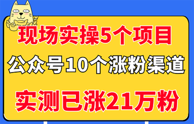 【副业项目3490期】公众号的10种矩阵引流的方法，实测已涨21万粉-村长副业网
