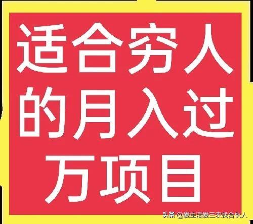 适合农村人做的赚钱项目（在农村做什么项目好）-村长副业网