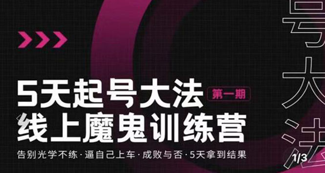 【副业项目3626期】五天起号魔鬼训练营，告别光学不练，逼自己上车，成败与否，5天拿到结果-村长副业网