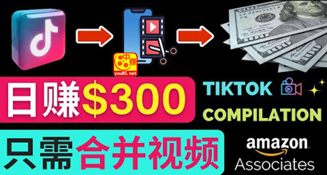 【副业项目3813期】搬运Tiktok短视频到Youtube赚钱，只需下载，合并视频，日赚300美元-村长副业网
