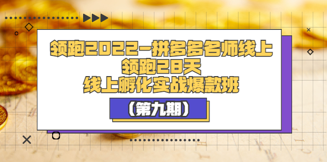 【副业项目3821期】拼多多名师线上领跑28天，拼多多线上孵化实操爆款班（第九期）-村长副业网