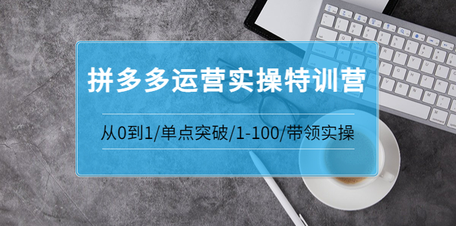 【副业项目3863期】拼多多运营实操特训营：拼多多直通车进阶优化技巧，拼多多如何操作利润最大化-村长副业网
