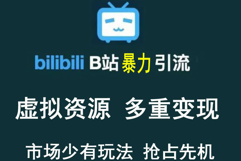 【副业项目3871期】虚拟资源引流方案：B站暴力引流 ，多重变现法-村长副业网