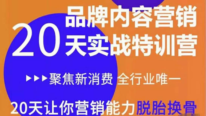 【副业项目3899期】《内容营销实操特训营》20天让你营销能力脱胎换骨（价值3999）-村长副业网