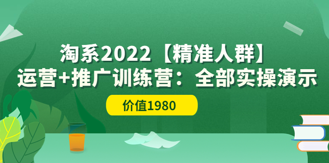 【副业项目3941期】淘系2022【精准人群】运营+推广训练营：全部实操演示-村长副业网