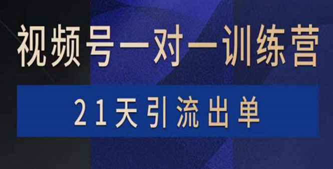 【副业项目4068期】视频号训练营：带货，涨粉，直播，游戏，四大变现新方向，21天引流出单-村长副业网