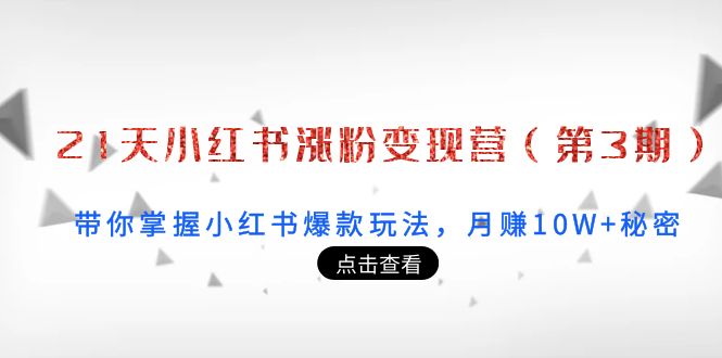 【副业项目4158期】21天小红书涨粉变现营（第3期）：带你掌握小红书爆款玩法，月赚10W+秘密-村长副业网
