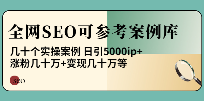 【副业项目4188期】《全网SEO可参考案例库》几十个实操案例 日引5000ip+涨粉百W+变现几十W等-村长副业网