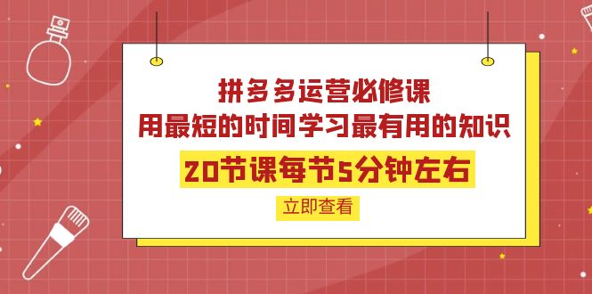 【副业项目4189期】拼多多运营必修课：20节课每节5分钟左右，用最短的时间学习最有用的知识-村长副业网
