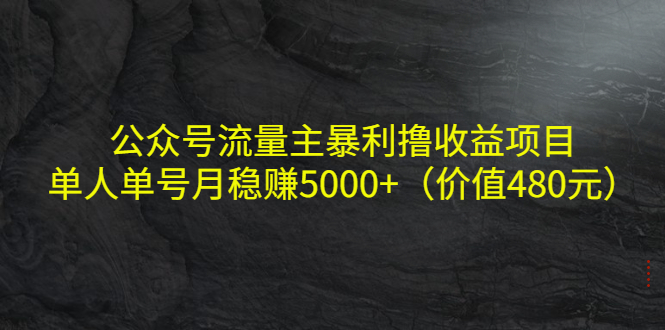 【副业项目4325期】公众号流量主暴利撸收益项目，单人单号月稳赚5000+（价值480元-村长副业网