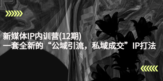 【副业项目4405期】新媒体IP内训营(12期)：一套全新的“公域引流，私域成交”IP打法，直接带走-村长副业网