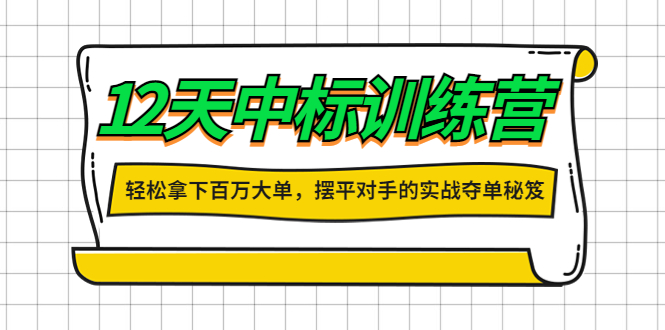 【副业项目4416期】12天中标训练营：轻松拿下百万大单，摆平对手的实战夺单秘笈-村长副业网