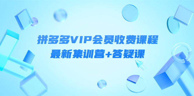 【副业项目4426期】某社群·拼多多VIP会员收费课程，最新集训营+答疑课-价值3299元-村长副业网