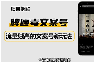 【副业项目4912期】2023抖音快手毒文案新玩法，牌匾文案号，起号快易变现-村长副业网
