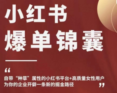 【副业项目4942期】小红书爆单锦囊，自带种草属性+高质量女性用户，为你的企业开辟一条新的掘金路径-村长副业网