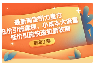 【副业项目4943期】最新淘宝引力魔方低价引流实操：小成本大流量，低价引流快速拉新收割-村长副业网