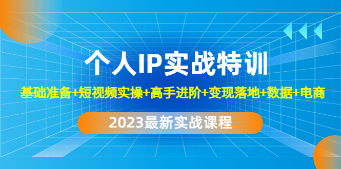 【副业项目4959期】2023个人IP实战特训：基础准备+短视频实操+高手进阶+变现落地+数据+电商-村长副业网