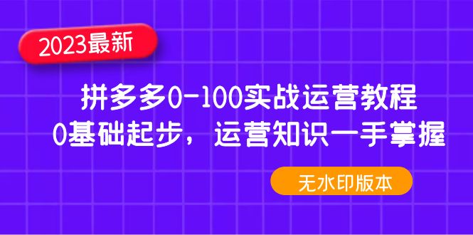 【副业项目5048期】2023拼多多0-100实战运营教程，0基础起步，运营知识一手掌握-村长副业网