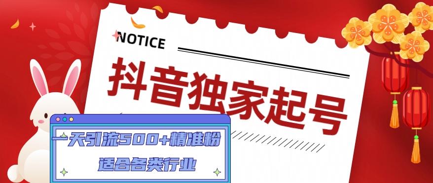【副业项目5106期】抖音独家起号，一天引流500+精准粉，适合各类行业（9节视频课）-村长副业网