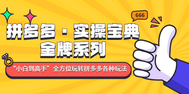 【副业项目5130期】拼多多·实操宝典：金牌系列“小白到高手”带你全方位玩转拼多多各种玩法-村长副业网