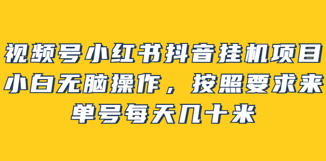 【副业项目2904期】视频号小红书抖音挂机项目，小白无脑操作，按照要求来，单号每天几十米-村长副业网