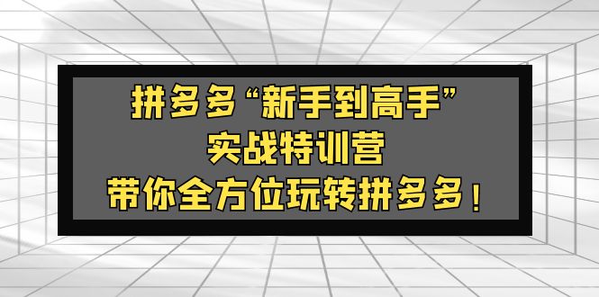 【副业项目5317期】拼多多“新手到高手”实战特训营：带你全方位玩转拼多多-村长副业网