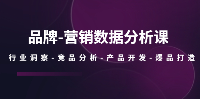 【副业项目5644期】品牌-营销数据分析课，行业洞察-竞品分析-产品开发-爆品打造-村长副业网