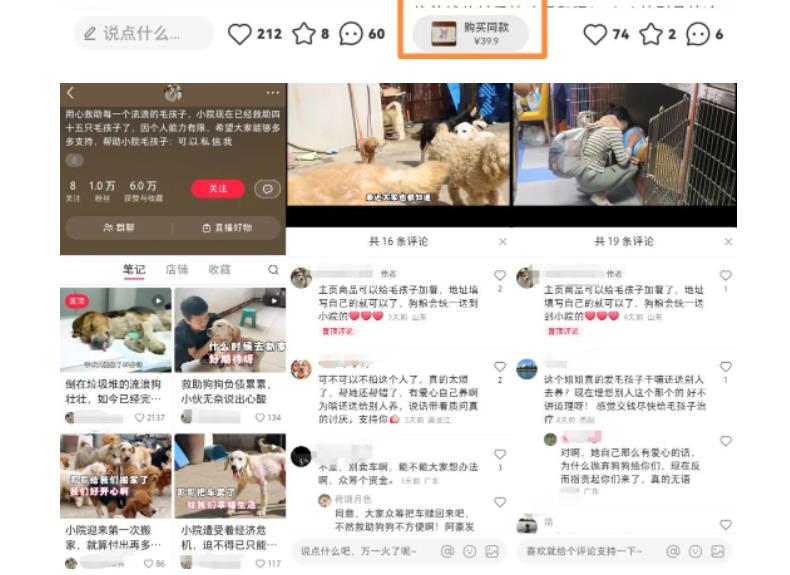 【副业项目5898期】小红书蓝海类赛道：小动物打赏与购买变现副业项目，一条龙玩法分享给你！-村长副业网