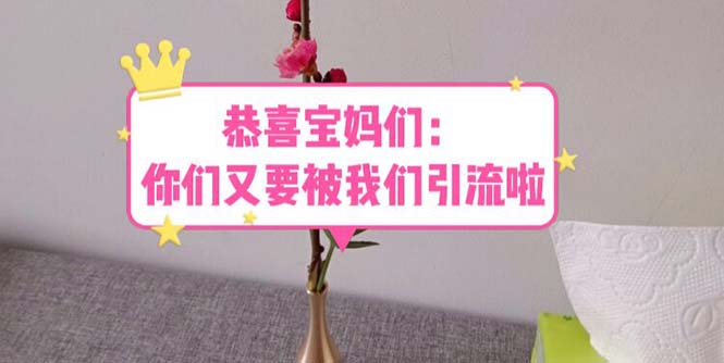 【副业项目5918期】恭喜宝妈们：你们又要被我们引流了（教程+222g资料）-村长副业网