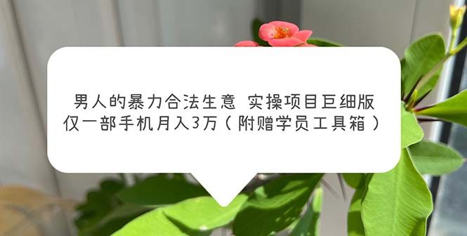 【副业项目5982期】男人的暴力合法生意实操项目巨细版：仅一部手机月入3w（附赠学员工具箱）-村长副业网