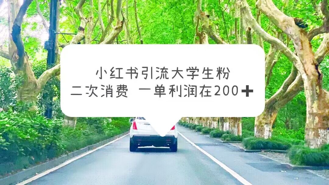 【副业项目5937期】小红书引流大学生粉，变现项目，一单利润在200+（教程+资源）-村长副业网