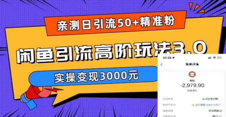 【副业项目5795期】实测日引50+精准粉，闲鱼引流高阶玩法3.0，实操变现3000元-村长副业网