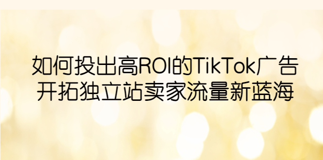 【副业项目6124期】如何投出高ROI·TikTok广告，开拓独立站卖家流量新蓝海-村长副业网