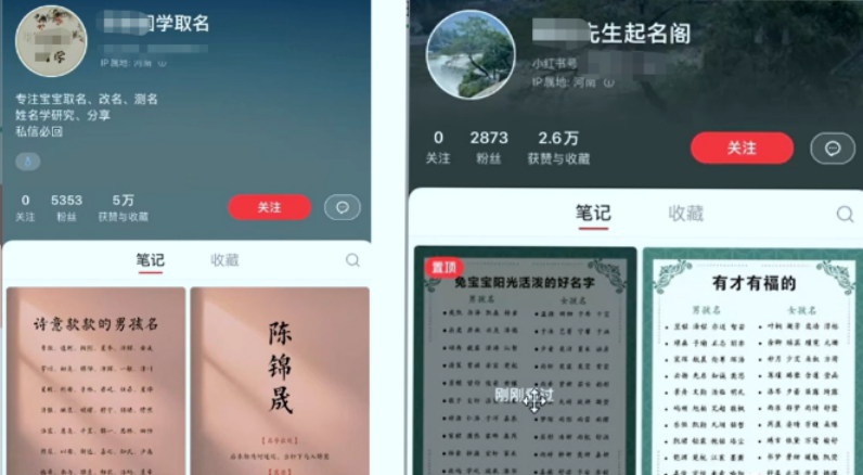 【副业项目6232期】【新课】冷门暴利项目：给宝宝起名（一单200+）内附教程+工具-村长副业网