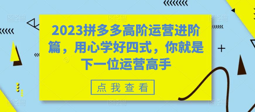 【副业项目6241期】2023拼多多高阶运营进阶篇，用心学好四式，你就是下一位运营高手-村长副业网