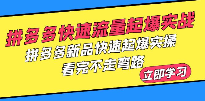 【副业项目6310期】拼多多-快速流量起爆实战，拼多多新品快速起爆实操，看完不走弯路-村长副业网