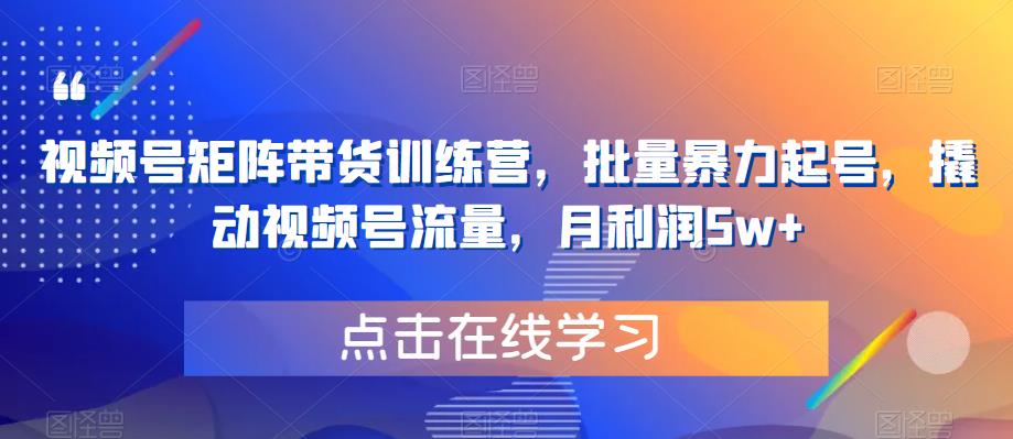 【副业项目6254期】视频号矩阵带货训练营，批量暴力起号，撬动视频号流量，月利润5w+-村长副业网