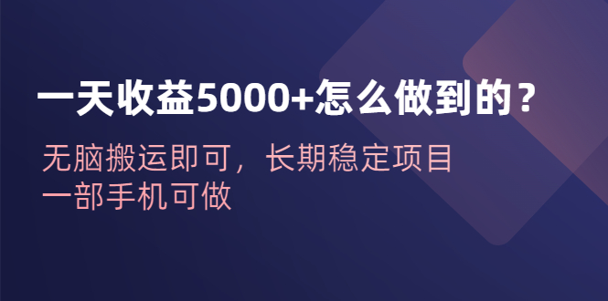 【副业项目6540期】一天收益5000+怎么做到的？无脑搬运即可，长期稳定项目，一部手机可做-村长副业网