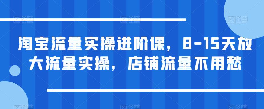【副业项目6415期】淘宝流量实操进阶课，8-15天放大流量实操，店铺流量不用愁-村长副业网