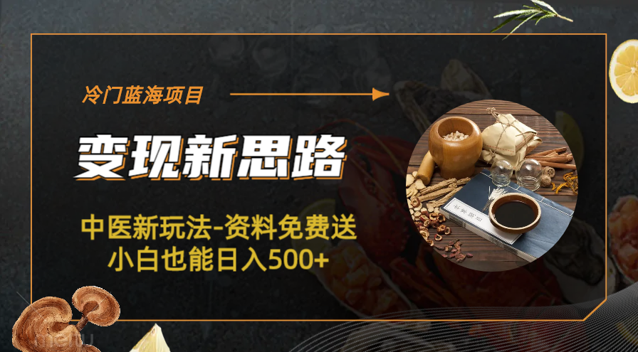 【副业项目6563期】冷门蓝海项目-中医新玩法-资料免费送小白也能日入500+-村长副业网