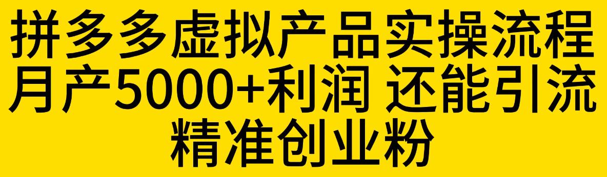 【副业项目6569期】拼多多虚拟产品实操流程，月产5000+利润，还能引流精准创业粉-村长副业网