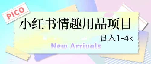 【副业项目6712期】最新小红书情趣用品项目，日入1-4k-村长副业网