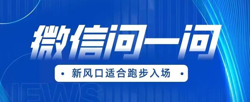 【副业项目6729期】全网首发微信问一问新风口变现项目（价值1999元）【揭秘】-村长副业网