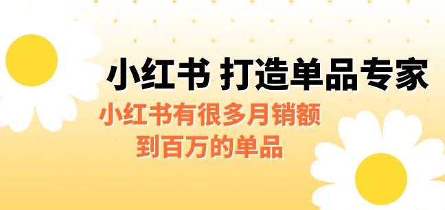 【副业项目6703期】某公众号付费文章《小红书打造单品专家》小红书有很多月销额到百万的单品-村长副业网